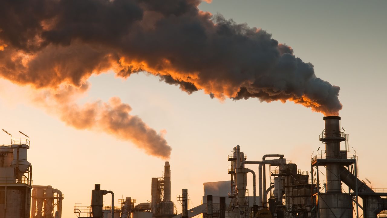 5 soluções para os problemas ambientais nas grandes cidades e o papel do gestor ambiental